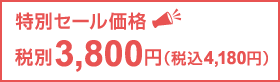 特別セール価格 税別3,800円(税込4,180円)