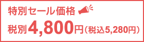 特別セール価格　税別4,800円（税込5,280円）