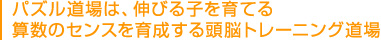 パズル道場は、伸びる子を育てる算数のセンスを育成する頭脳トレーニング道場