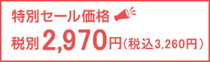 特別セール価格　税別2,970円（税込3,260円）